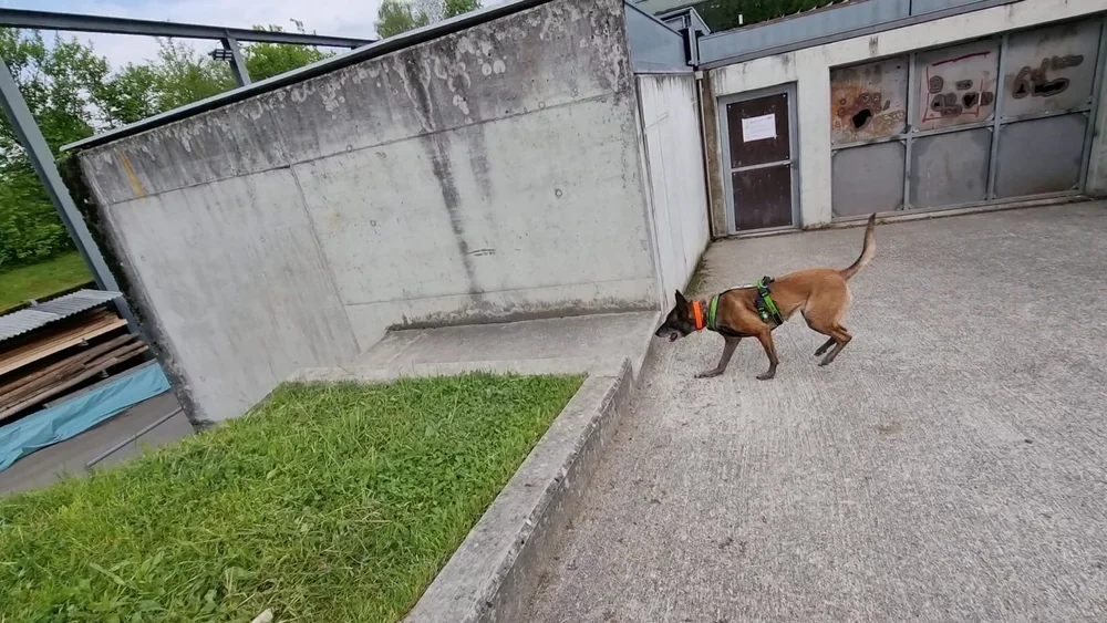 WhatsApp Image 2022-05-09 at 17.09.48.jpeg