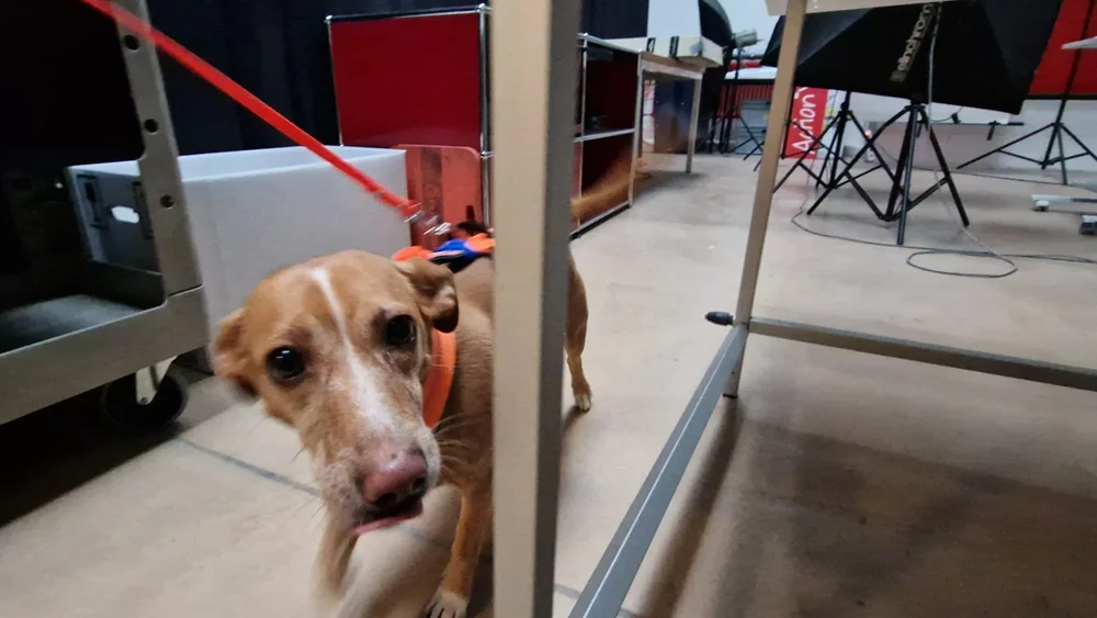 WhatsApp Image 2023-01-29 at 12.29.05 (1).jpeg