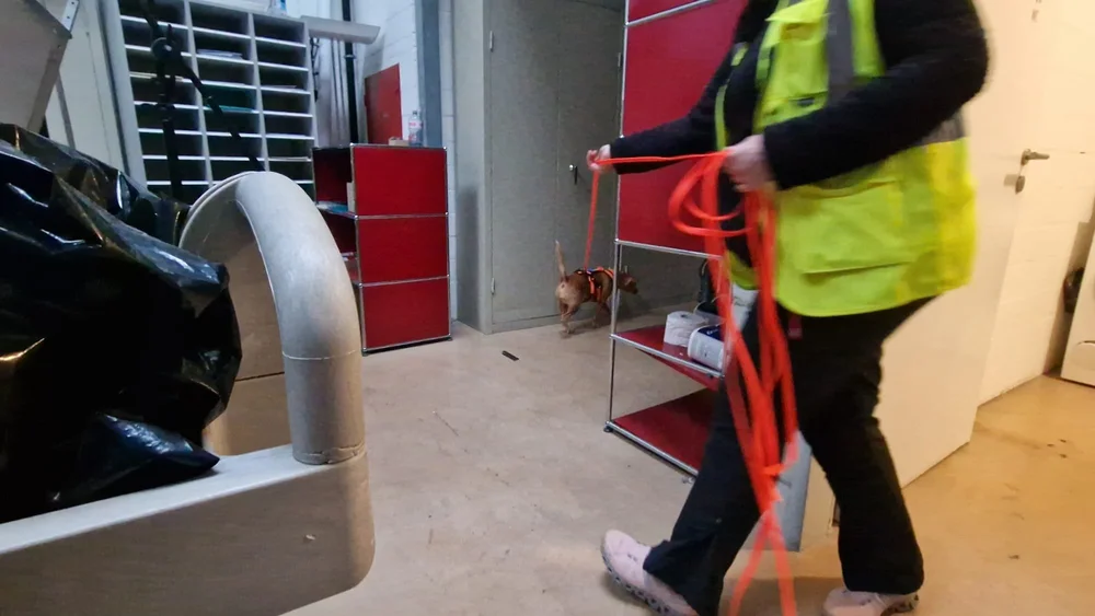 WhatsApp Image 2023-01-29 at 12.29.05.jpeg