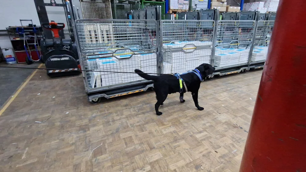 WhatsApp Image 2023-01-29 at 12.29.07 (1).jpeg