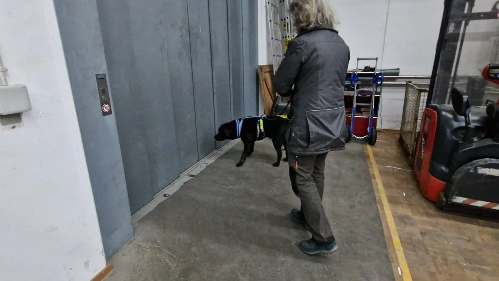 WhatsApp Image 2023-01-29 at 12.29.07.jpeg