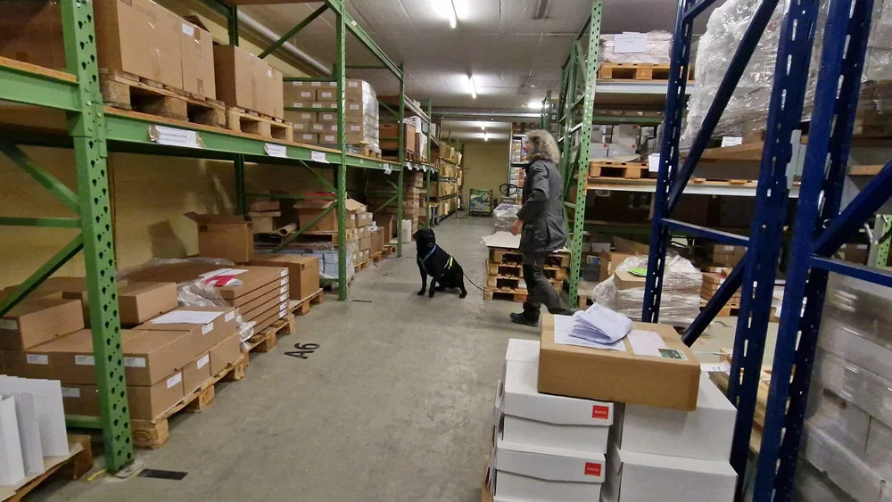 WhatsApp Image 2023-01-29 at 12.29.08 (3).jpeg