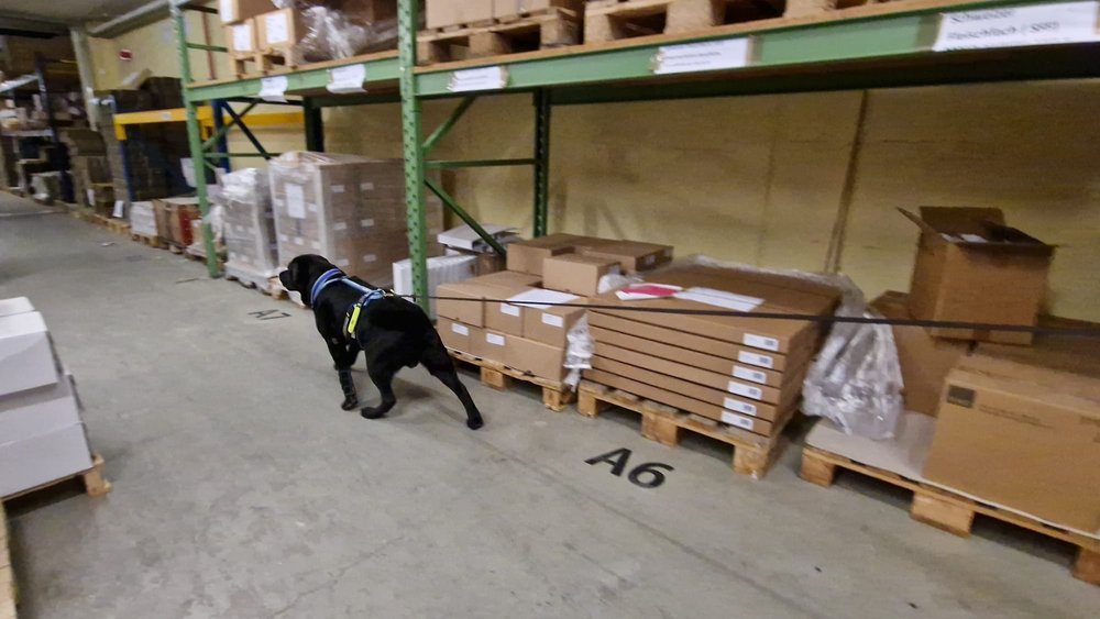 WhatsApp Image 2023-01-29 at 12.29.08 (4).jpeg