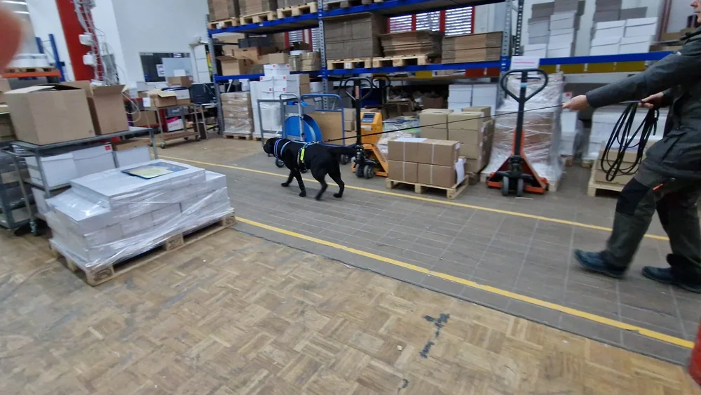 WhatsApp Image 2023-01-29 at 12.29.08.jpeg