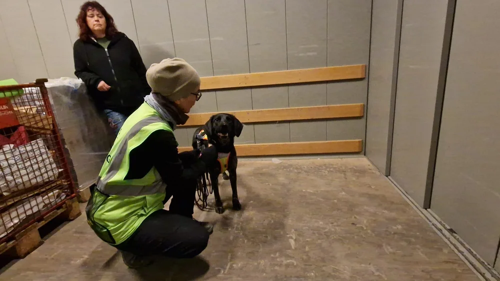 WhatsApp Image 2023-01-29 at 12.29.09 (2).jpeg