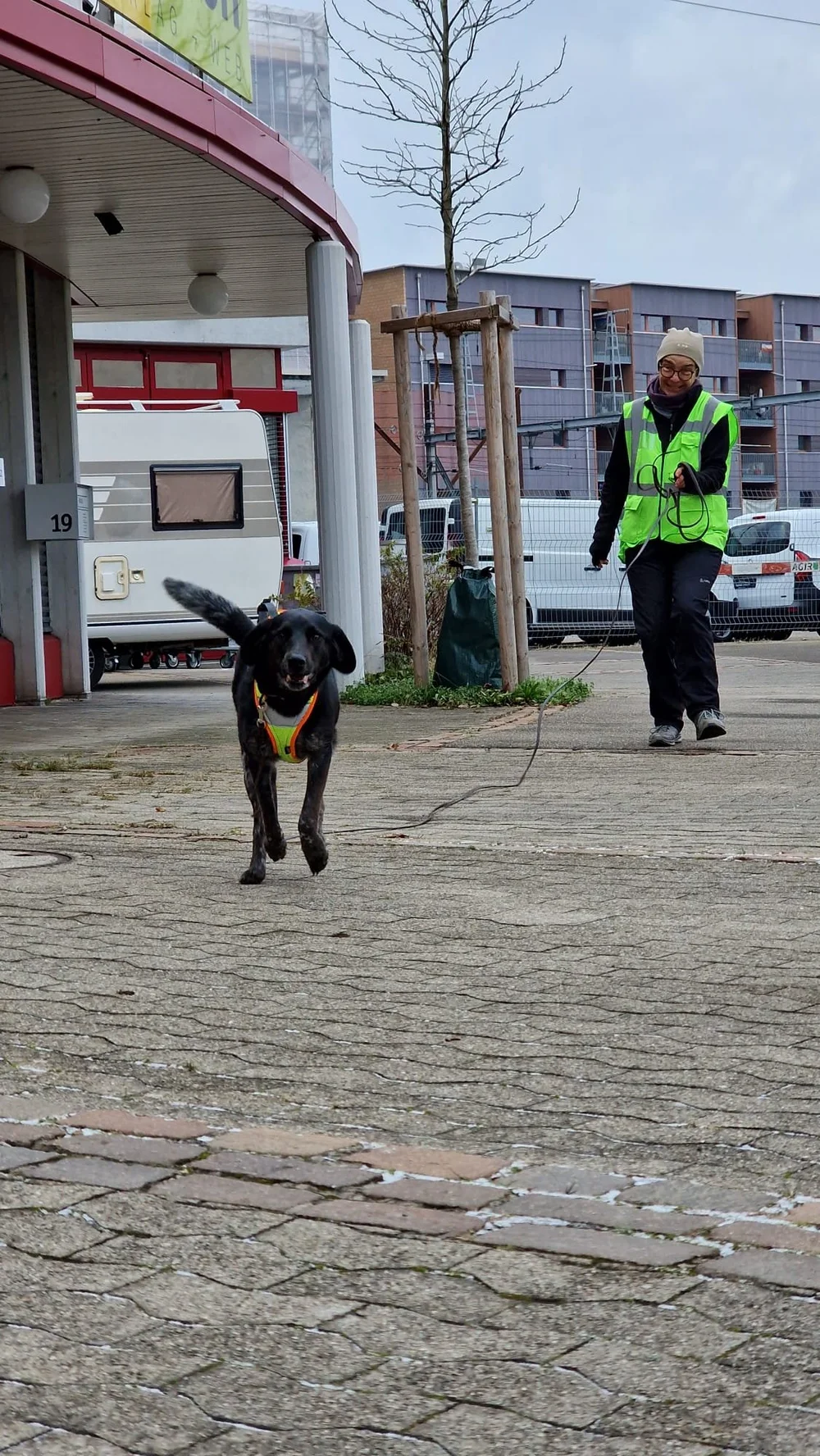 WhatsApp Image 2023-01-29 at 12.29.09 (3).jpeg