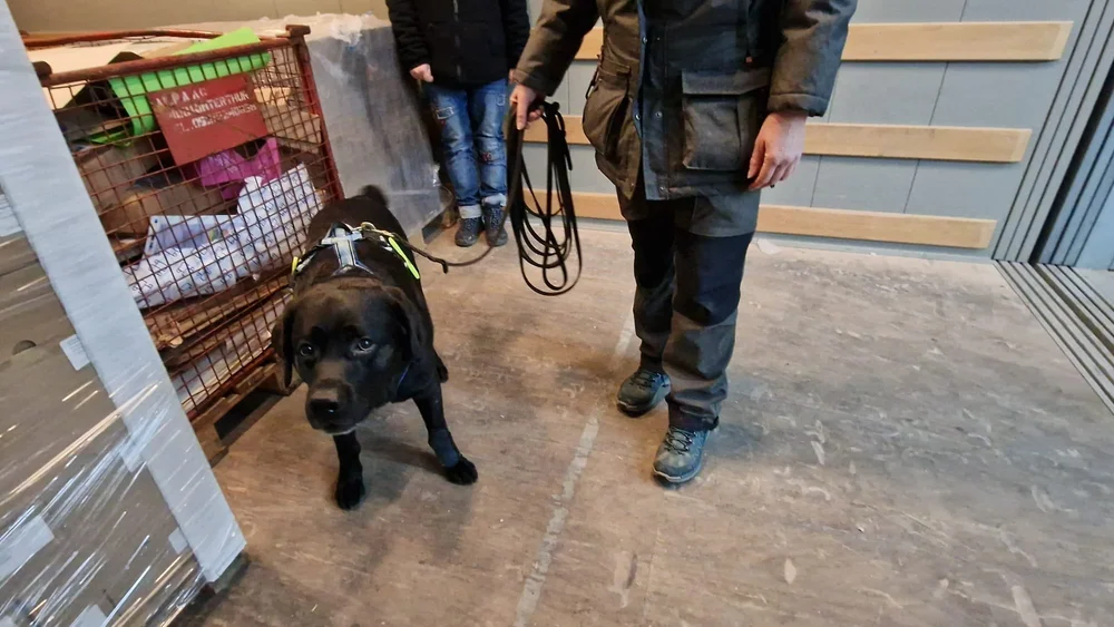 WhatsApp Image 2023-01-29 at 12.29.09.jpeg