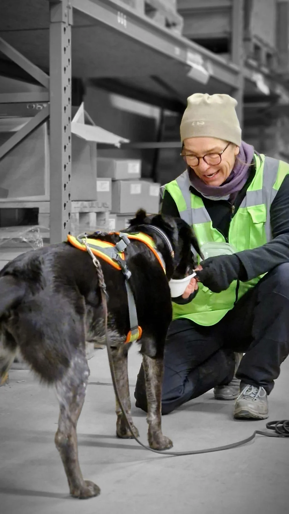 WhatsApp Image 2023-01-29 at 12.29.10 (1).jpeg