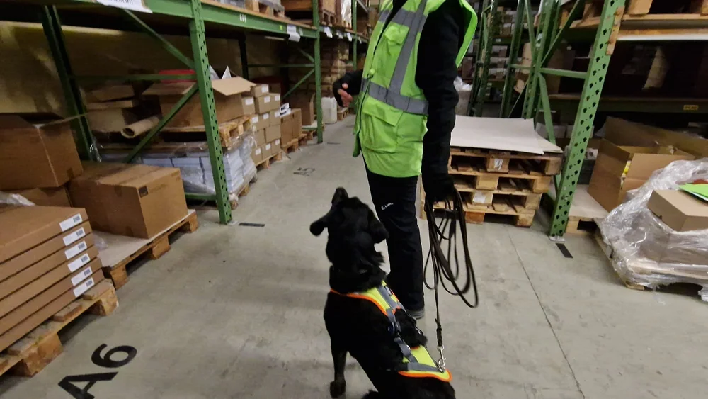 WhatsApp Image 2023-01-29 at 12.29.10 (2).jpeg