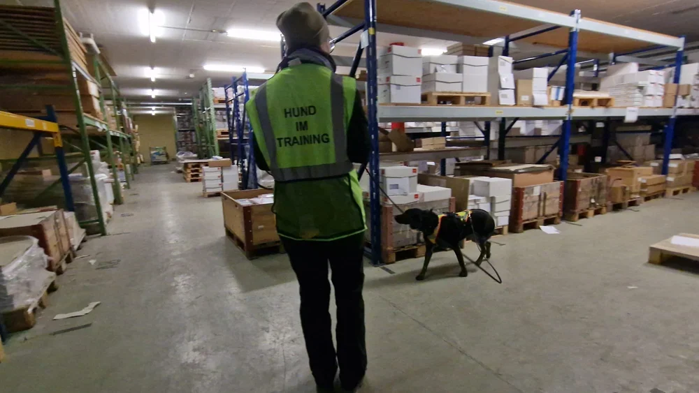 WhatsApp Image 2023-01-29 at 12.29.10 (3).jpeg