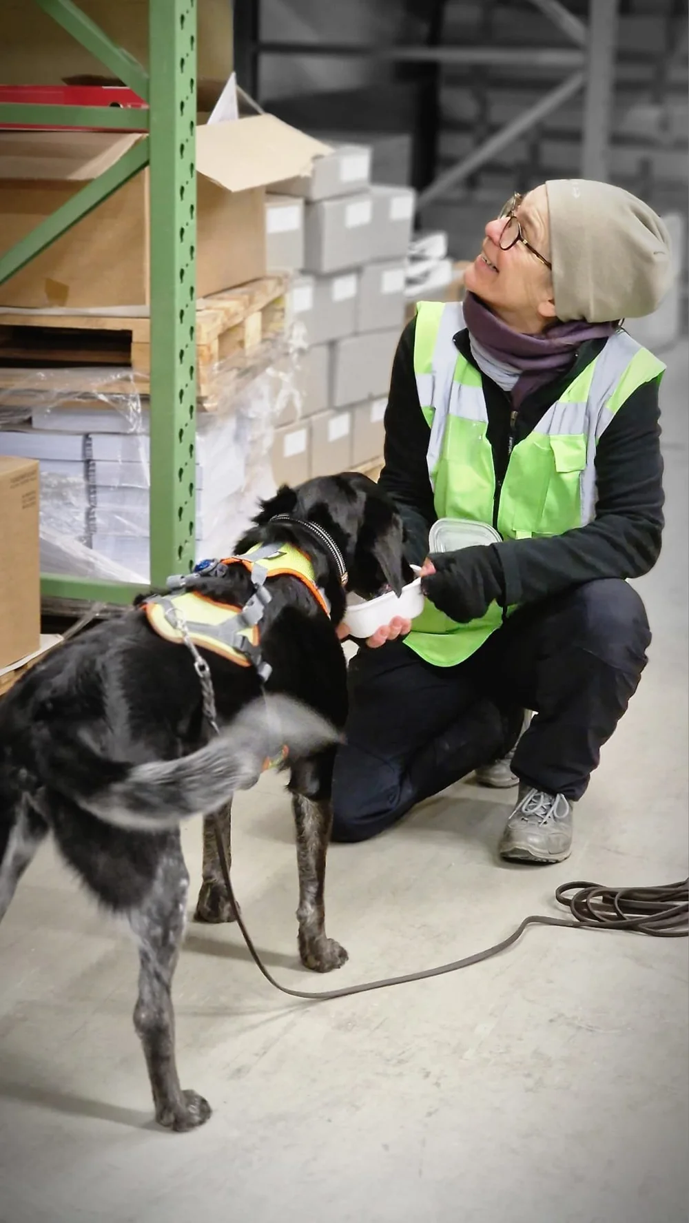 WhatsApp Image 2023-01-29 at 12.29.10.jpeg