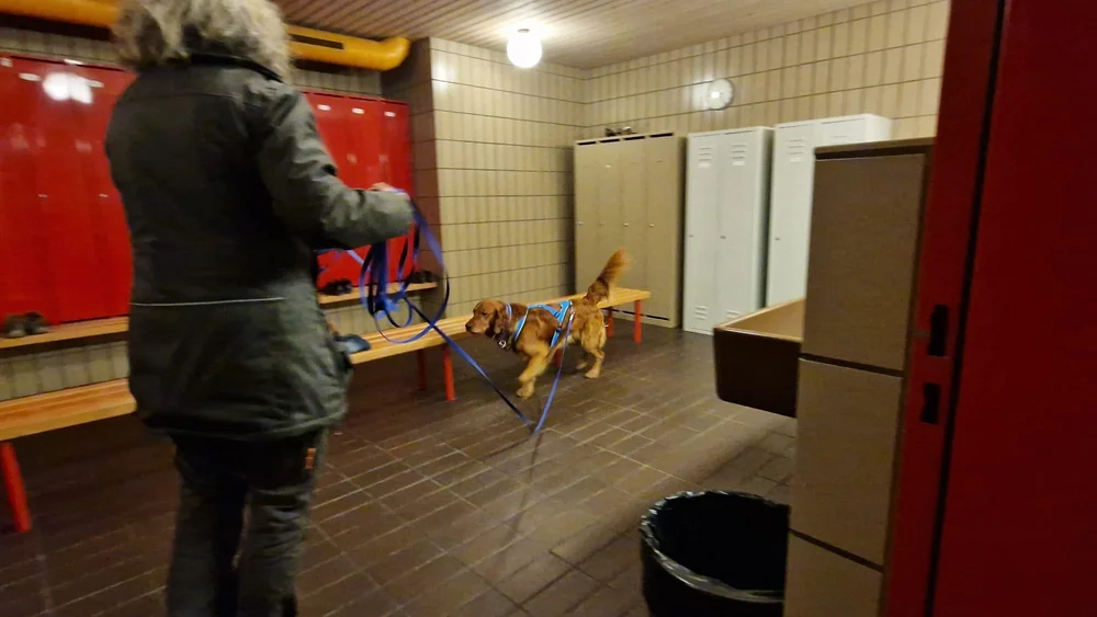 WhatsApp Image 2023-01-29 at 12.29.11 (1).jpeg