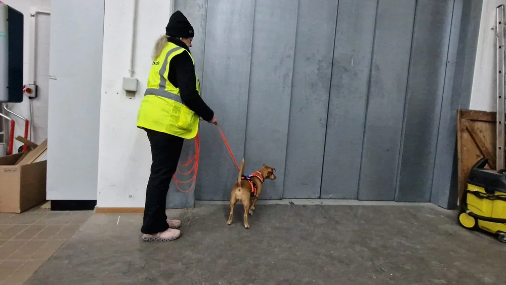 WhatsApp Image 2023-01-29 at 12.29.12 (2).jpeg