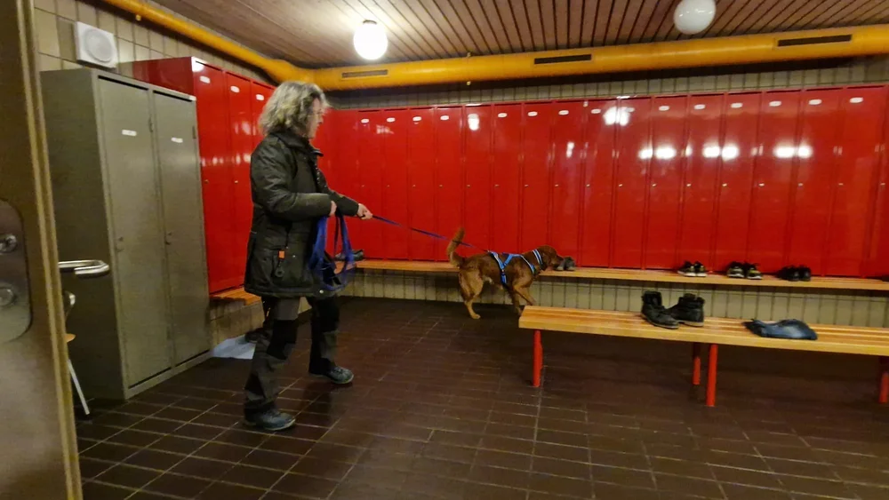 WhatsApp Image 2023-01-29 at 12.29.12.jpeg