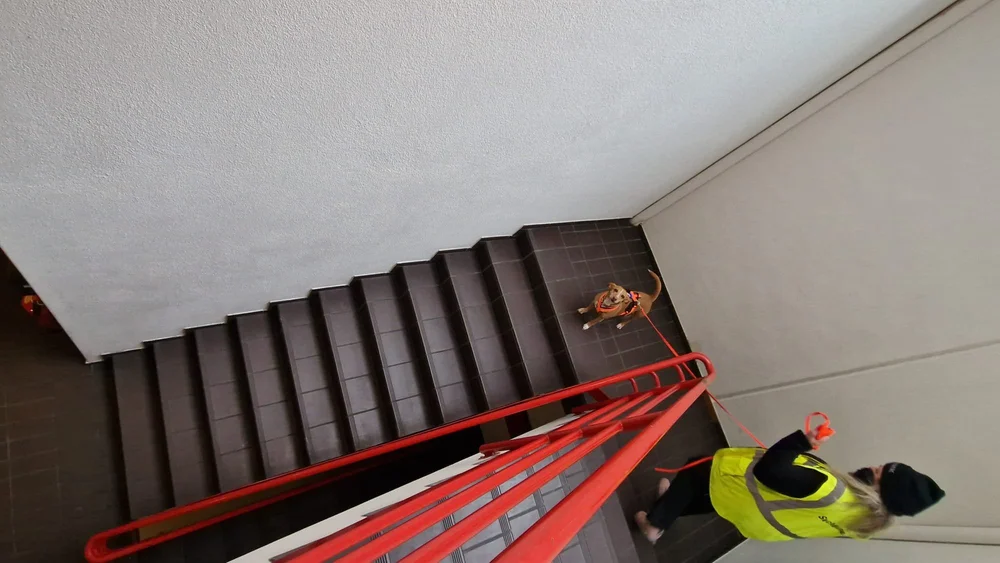 WhatsApp Image 2023-01-29 at 12.29.26 (1).jpeg