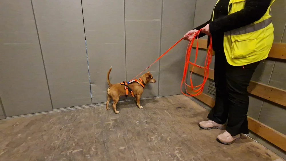 WhatsApp Image 2023-01-29 at 12.29.26.jpeg