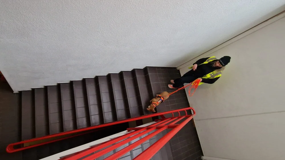 WhatsApp Image 2023-01-29 at 12.29.27.jpeg