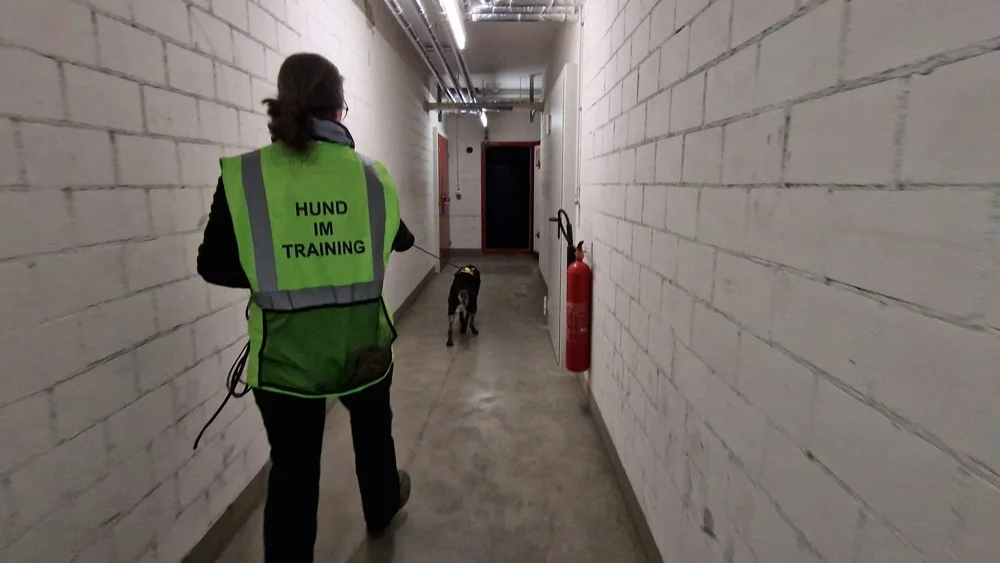 WhatsApp Image 2023-01-29 at 12.29.28 (1).jpeg