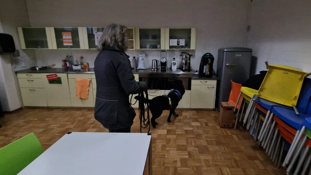 WhatsApp Image 2023-01-29 at 12.29.28 (3).jpeg