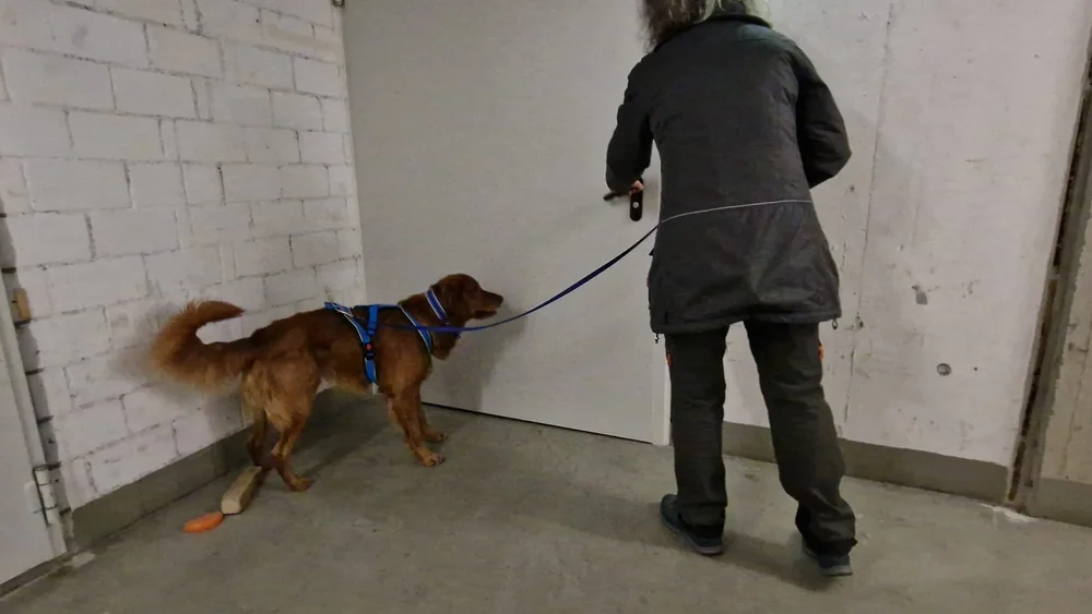 WhatsApp Image 2023-01-29 at 12.29.29 (2).jpeg