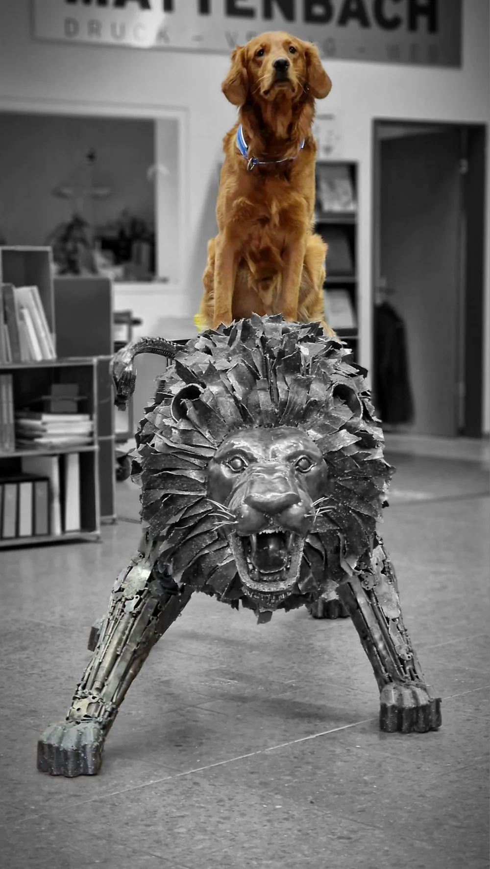 WhatsApp Image 2023-01-29 at 13.16.02.jpeg