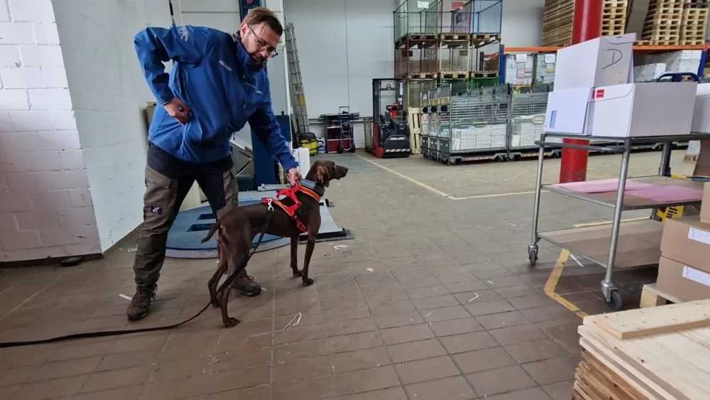 WhatsApp Image 2023-01-29 at 13.30.51.jpeg