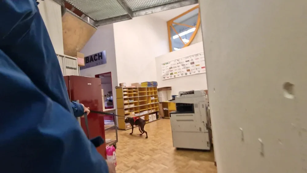 WhatsApp Image 2023-01-29 at 13.30.52 (1).jpeg