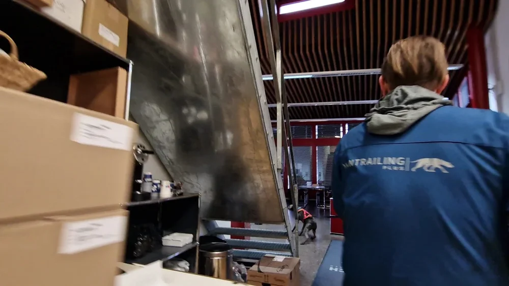 WhatsApp Image 2023-01-29 at 13.30.52.jpeg