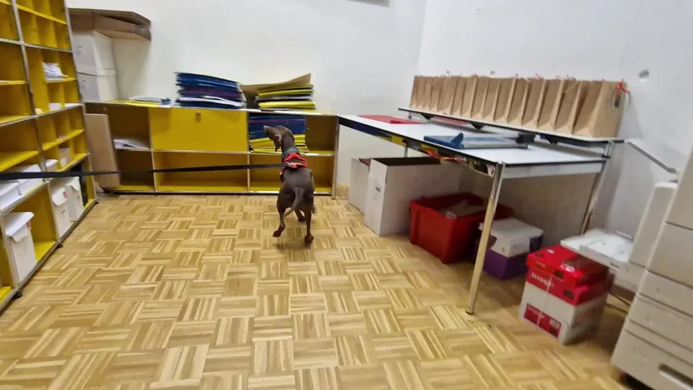 WhatsApp Image 2023-01-29 at 13.30.53 (1).jpeg