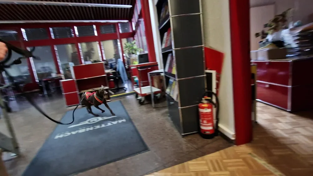 WhatsApp Image 2023-01-29 at 13.30.53 (2).jpeg