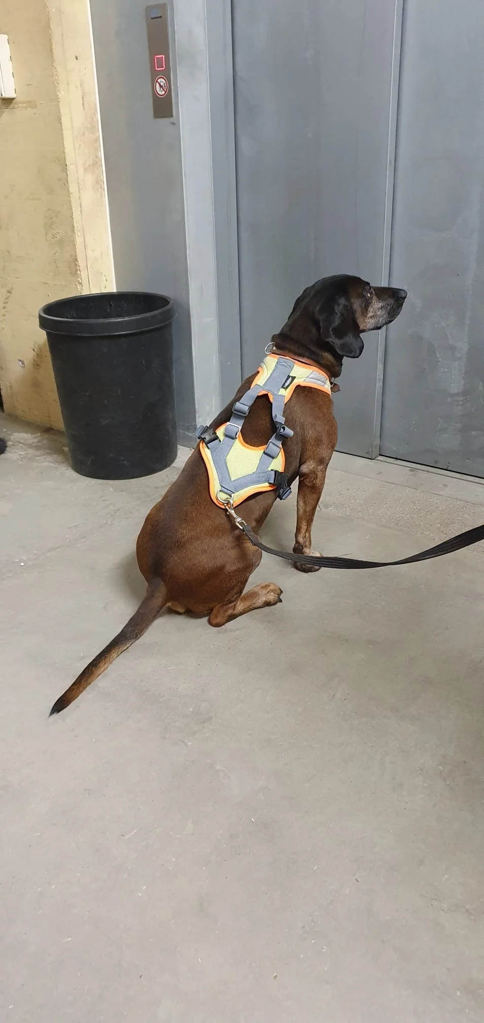 WhatsApp Image 2023-02-04 at 11.32.10 (1).jpeg