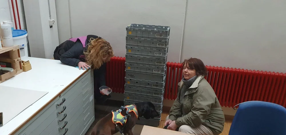 WhatsApp Image 2023-02-04 at 11.32.10 (3).jpeg