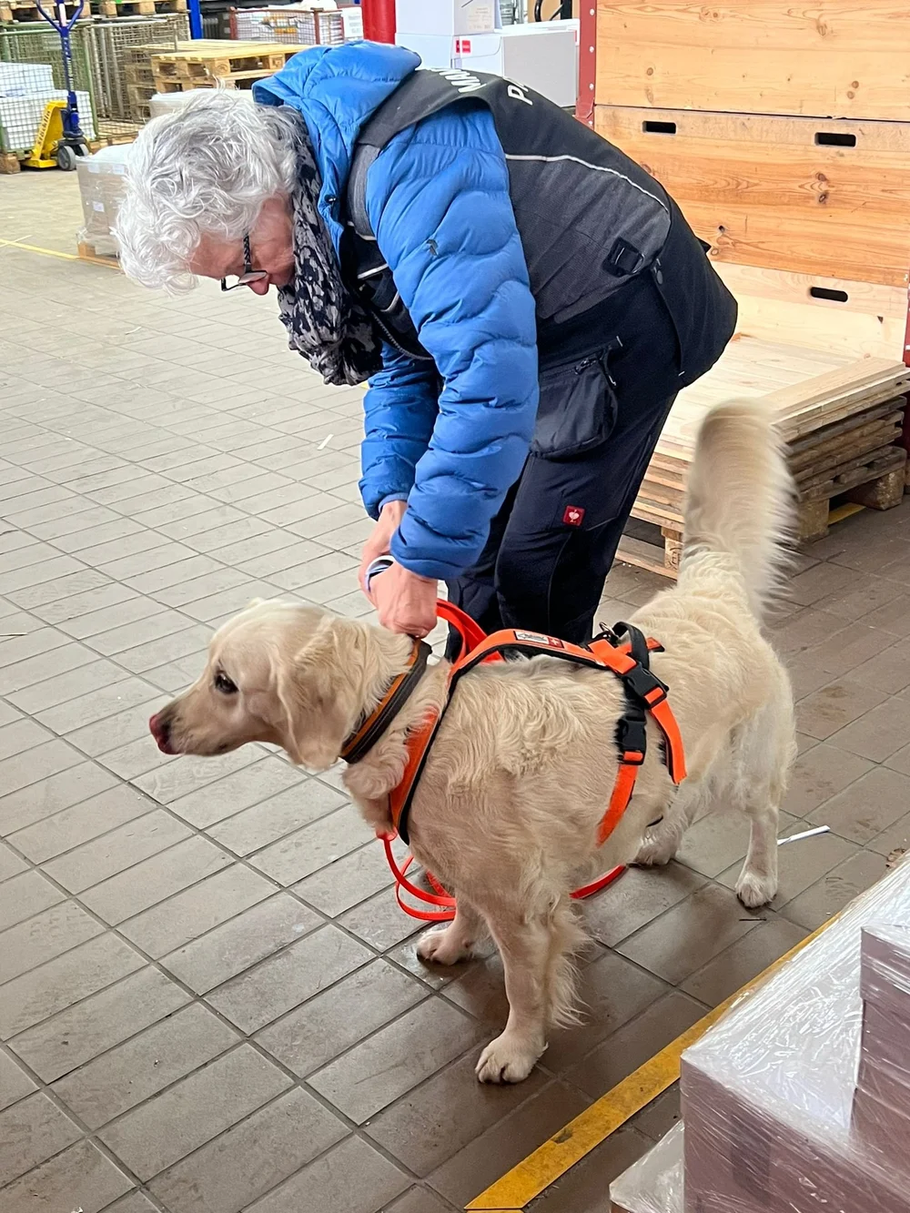 WhatsApp Image 2023-02-04 at 17.08.10.jpeg