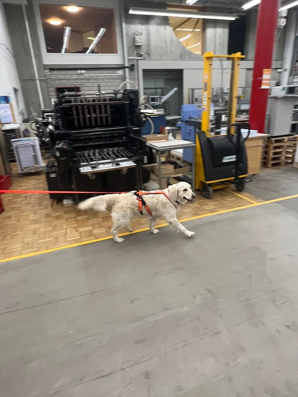 WhatsApp Image 2023-02-04 at 17.08.11 (1).jpeg