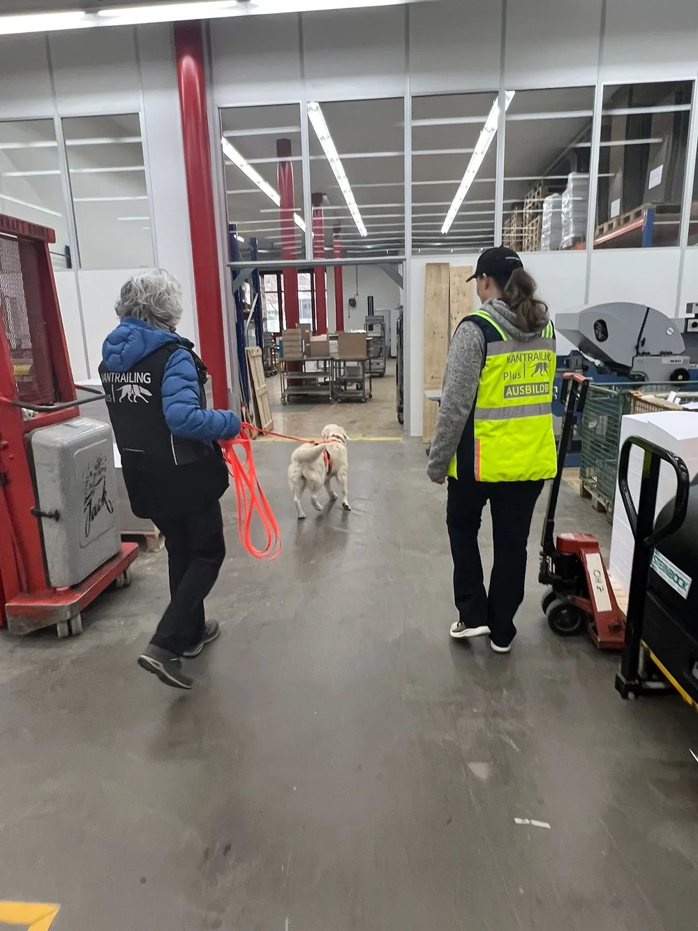 WhatsApp Image 2023-02-04 at 17.08.12.jpeg