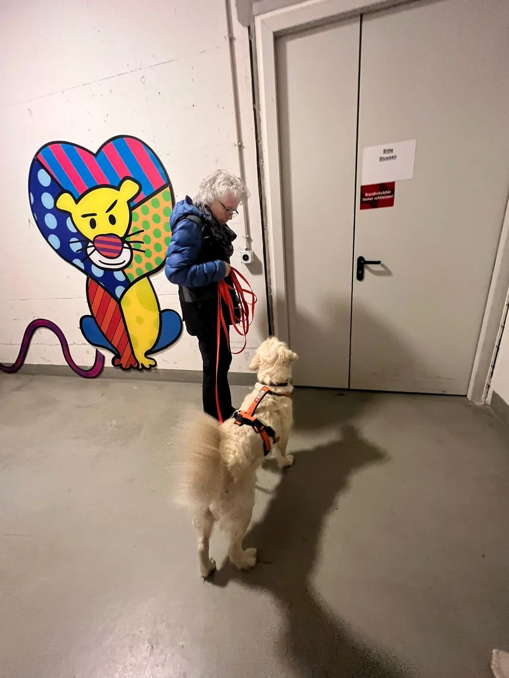 WhatsApp Image 2023-02-04 at 17.08.56.jpeg