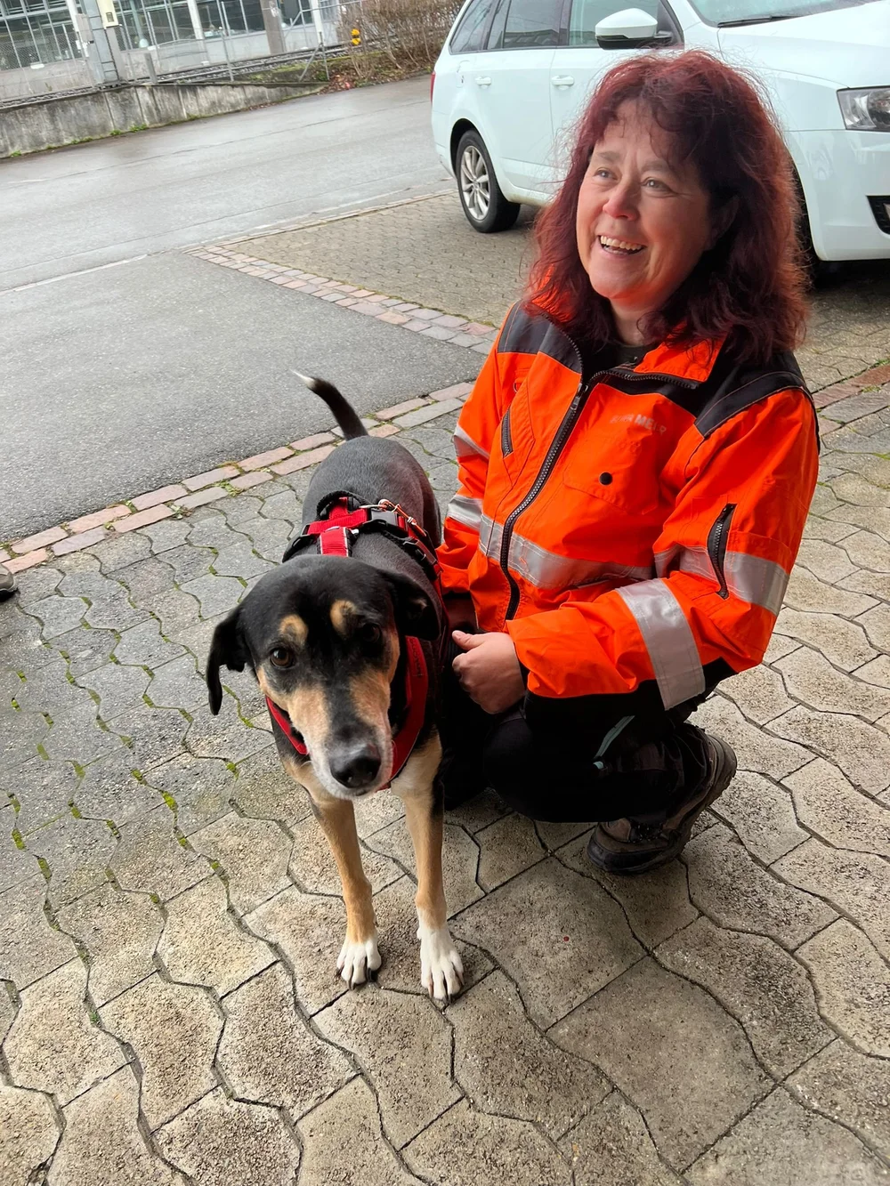 WhatsApp Image 2023-02-04 at 17.09.37.jpeg