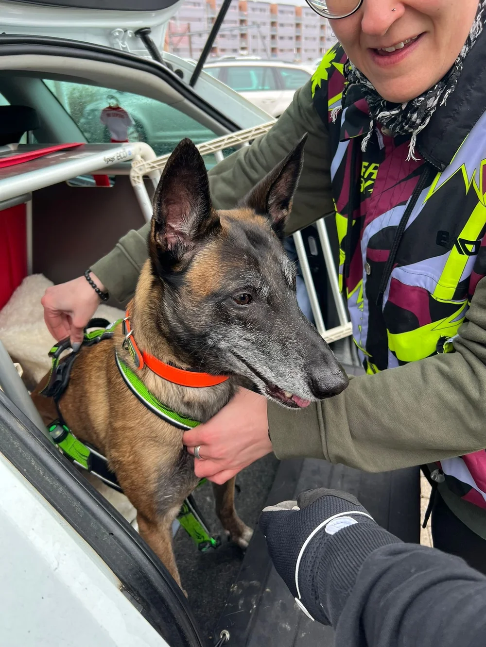 WhatsApp Image 2023-02-04 at 17.11.03.jpeg