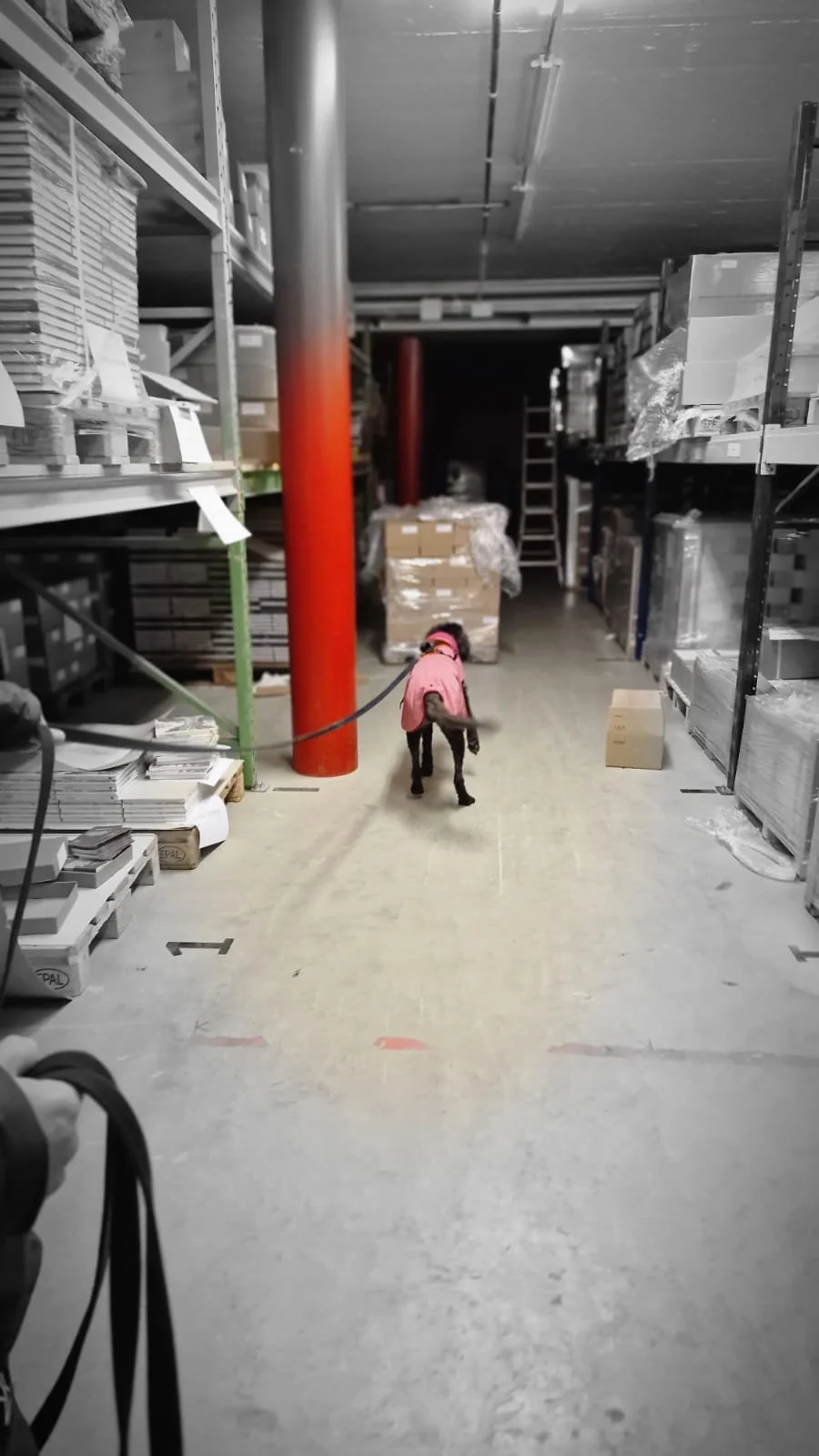 WhatsApp Image 2023-02-05 at 12.35.36.jpeg