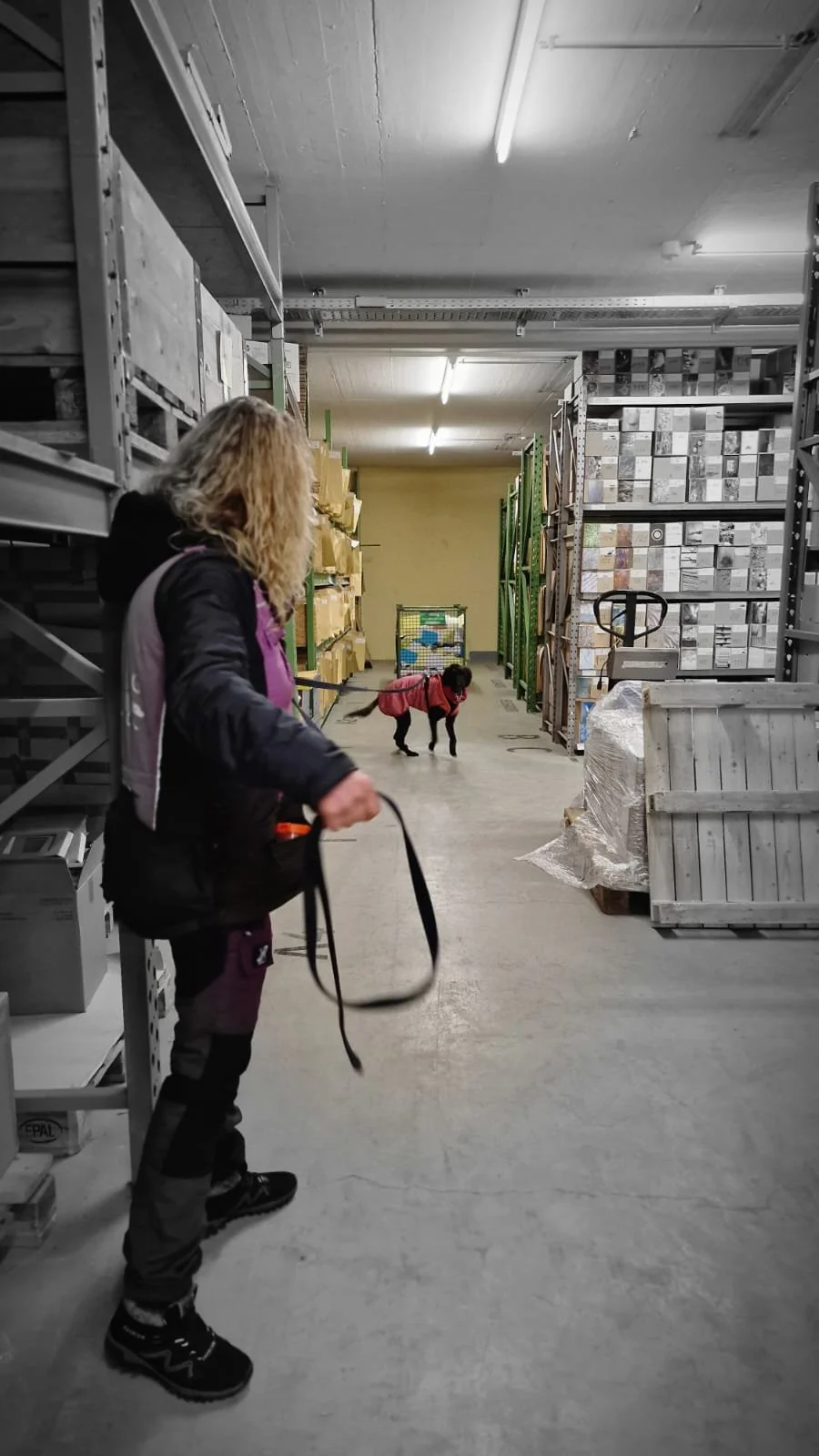 WhatsApp Image 2023-02-05 at 12.35.37.jpeg