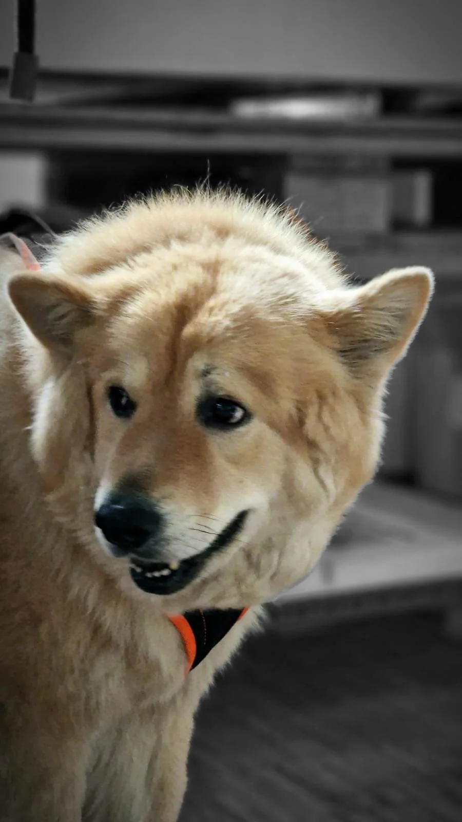 WhatsApp Image 2023-02-05 at 12.35.38.jpeg