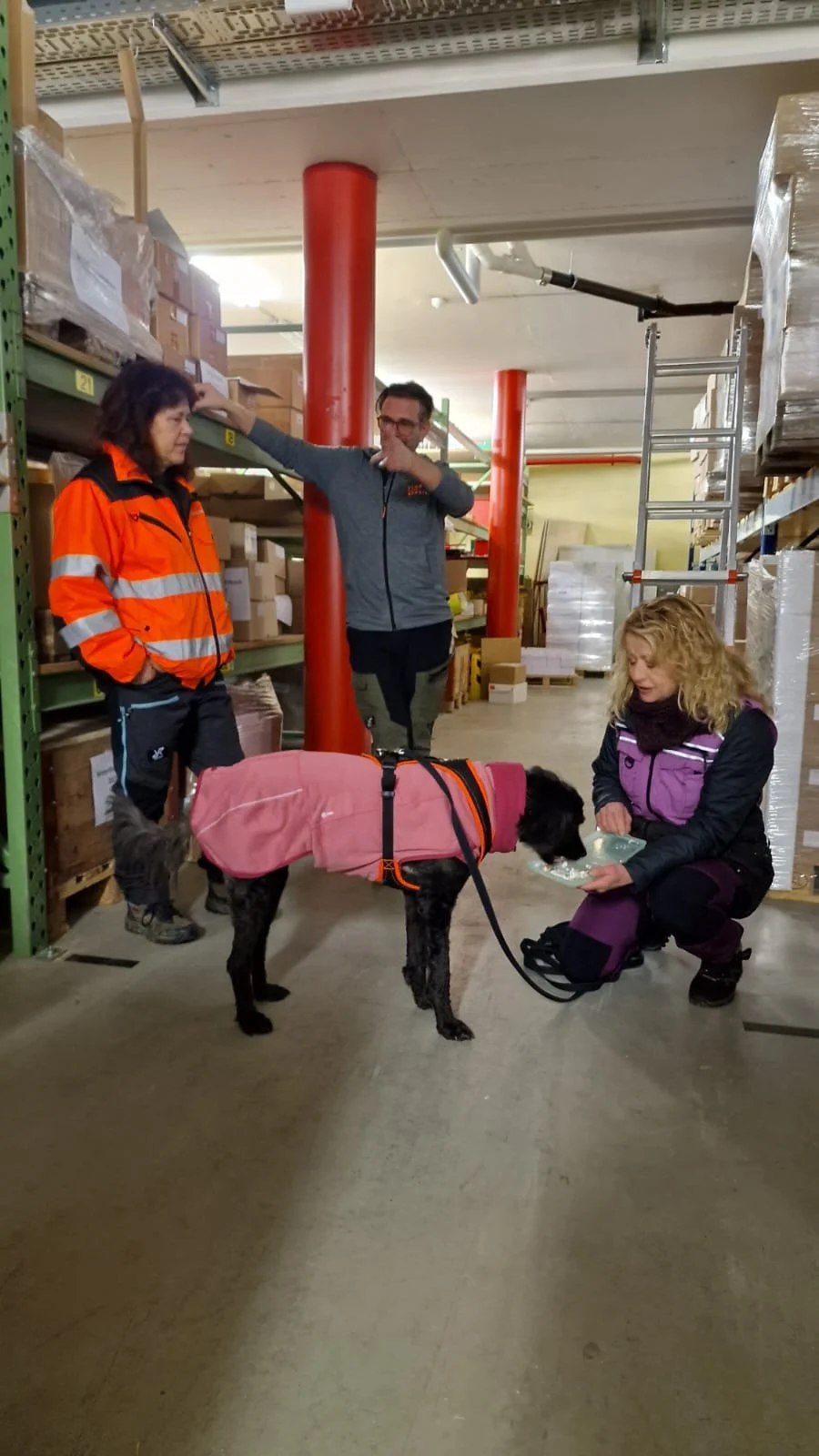 WhatsApp Image 2023-02-05 at 12.35.39 (1).jpeg