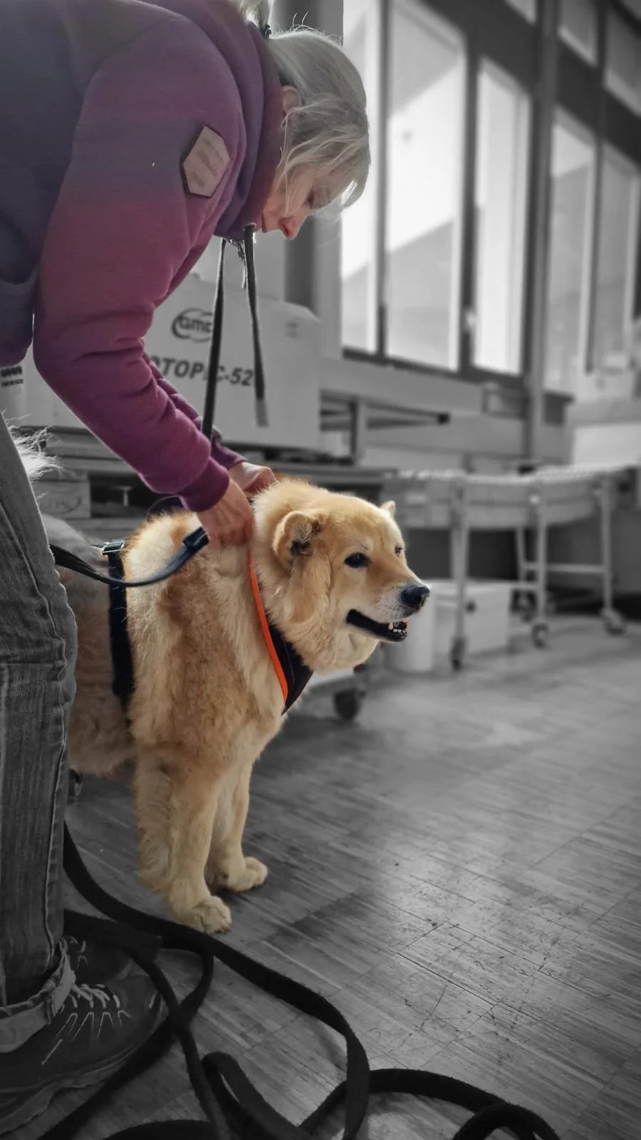 WhatsApp Image 2023-02-05 at 12.35.39.jpeg