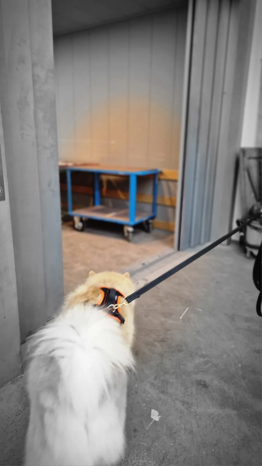 WhatsApp Image 2023-02-05 at 12.35.40 (1).jpeg