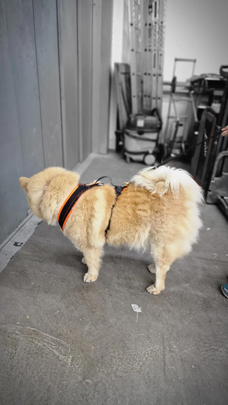 WhatsApp Image 2023-02-05 at 12.35.41.jpeg