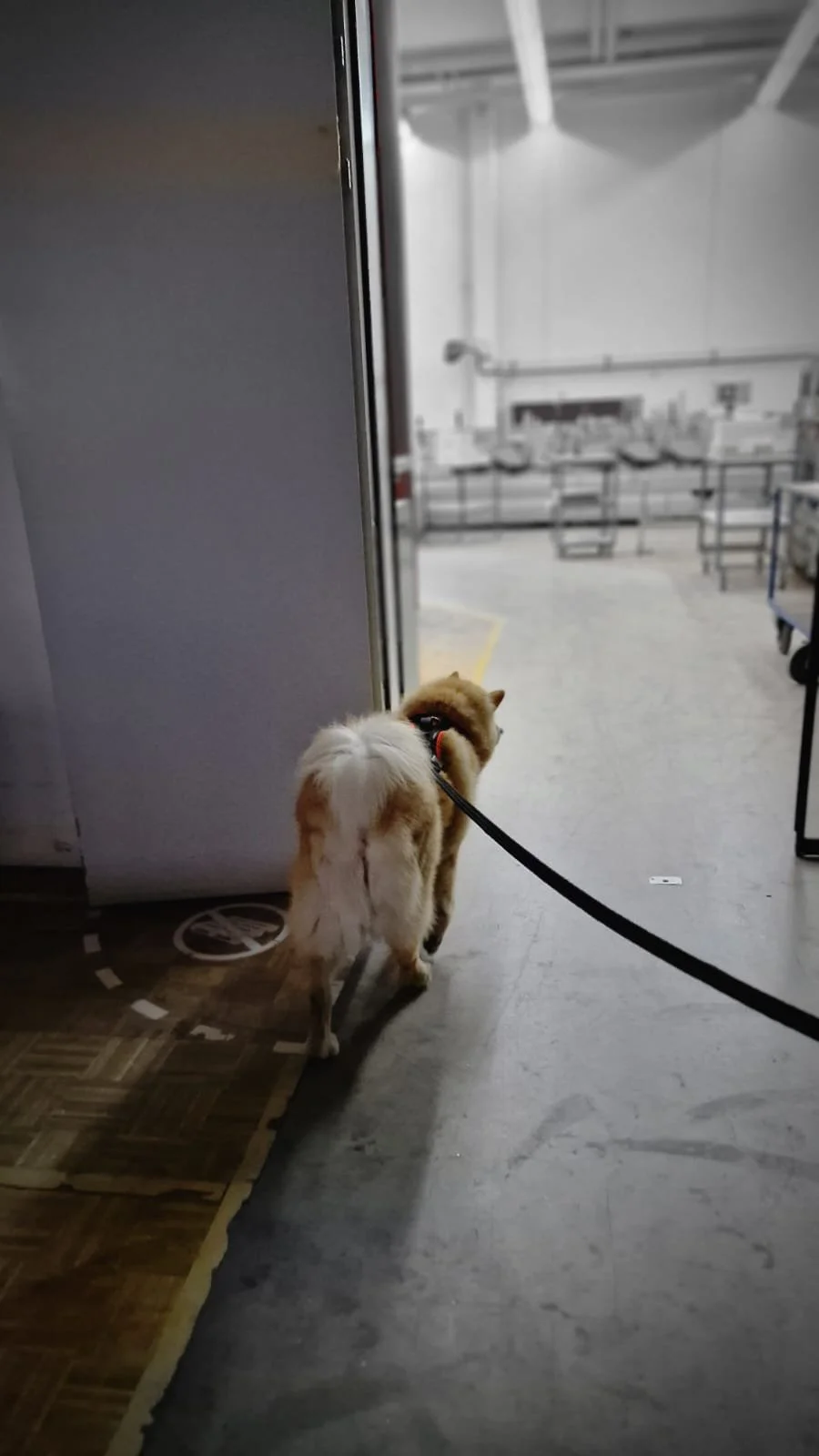 WhatsApp Image 2023-02-05 at 12.35.42 (1).jpeg