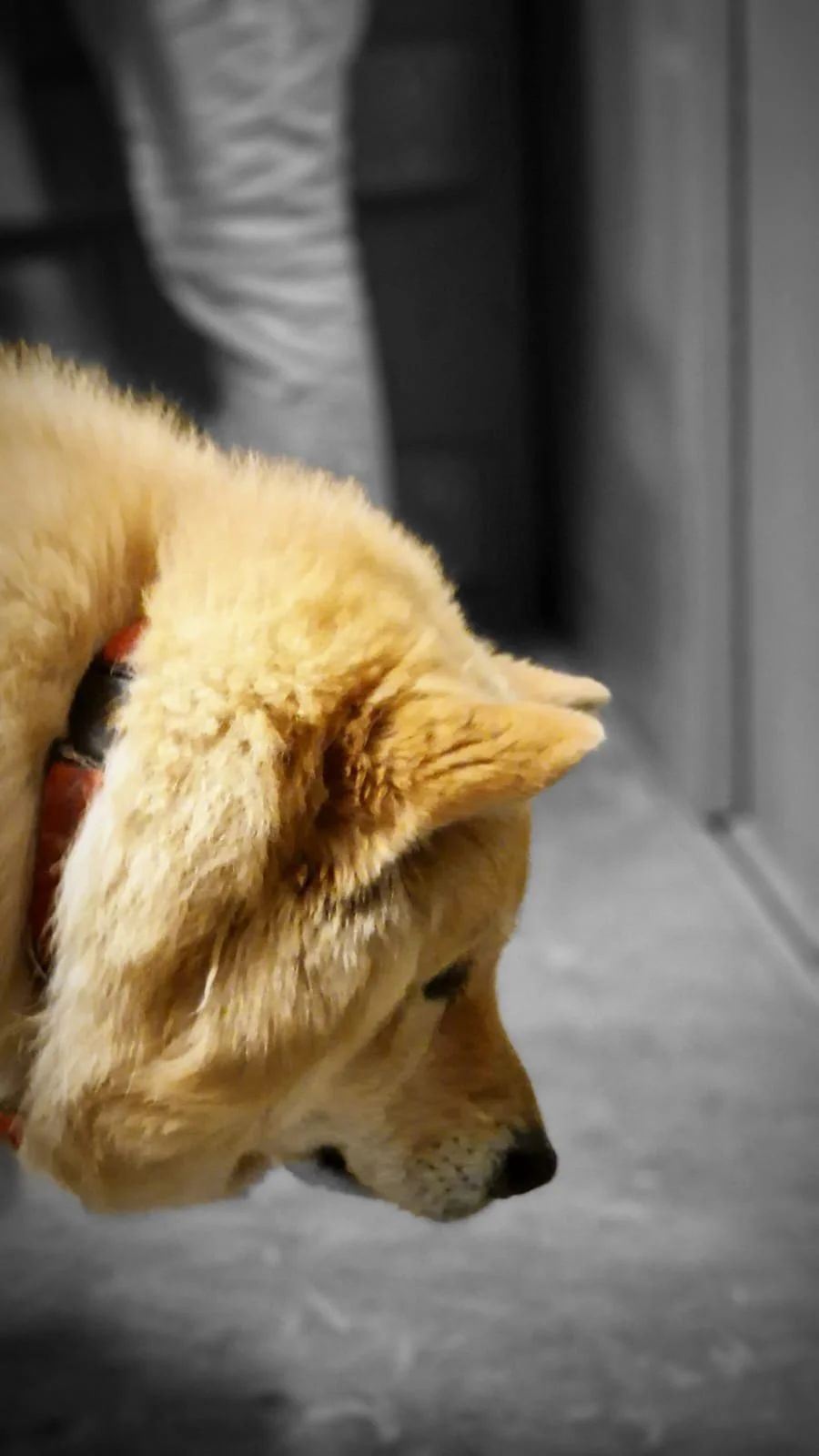 WhatsApp Image 2023-02-05 at 12.35.42 (2).jpeg