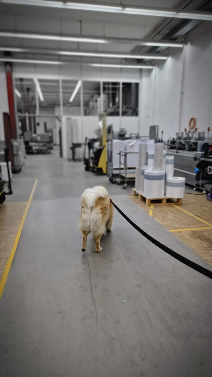 WhatsApp Image 2023-02-05 at 12.35.42.jpeg