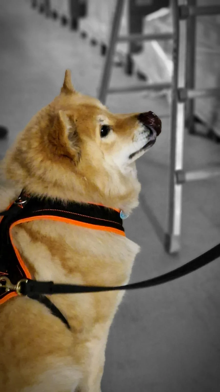 WhatsApp Image 2023-02-05 at 12.35.43 (1).jpeg