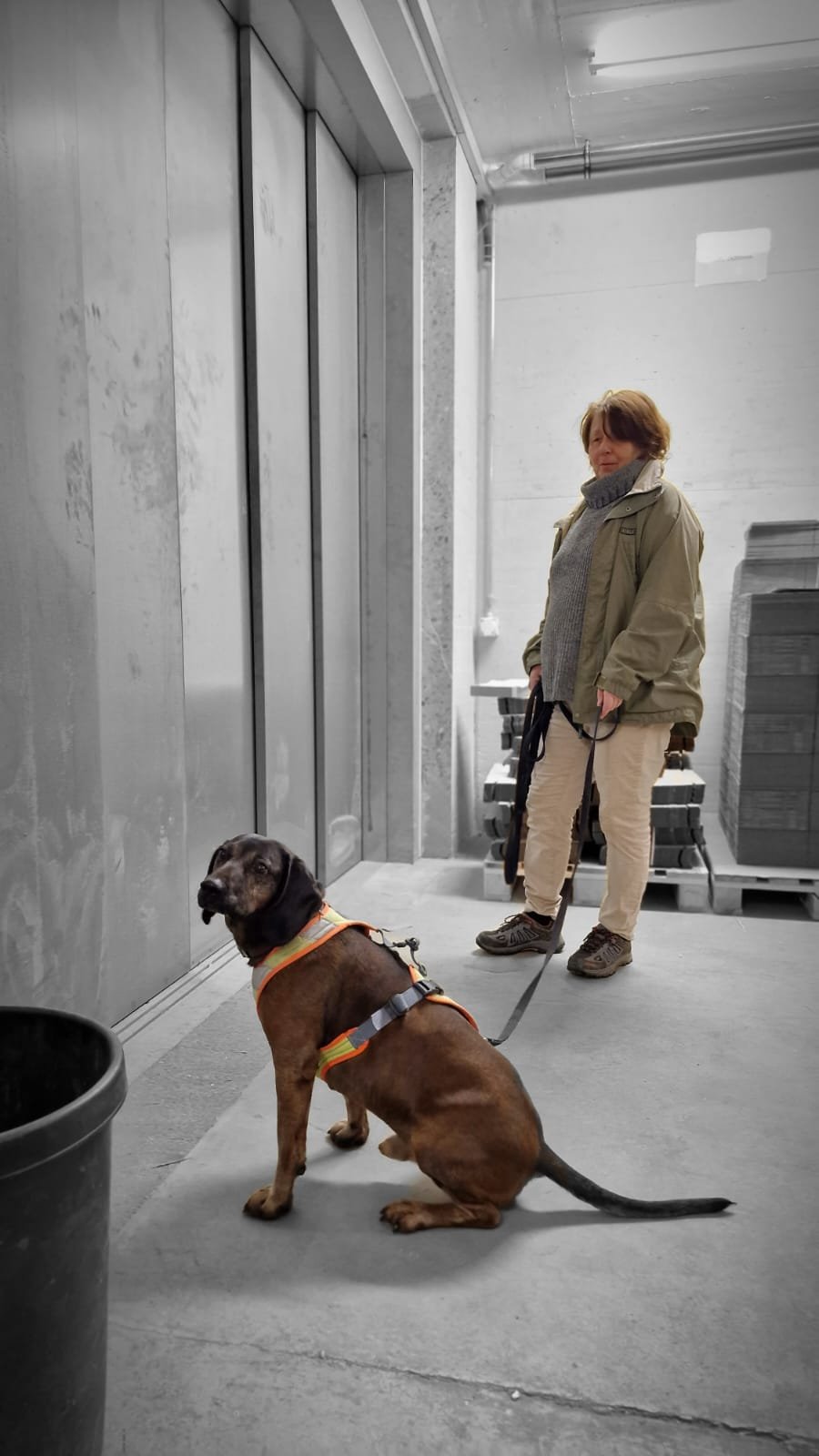 WhatsApp Image 2023-02-05 at 12.35.44 (1).jpeg